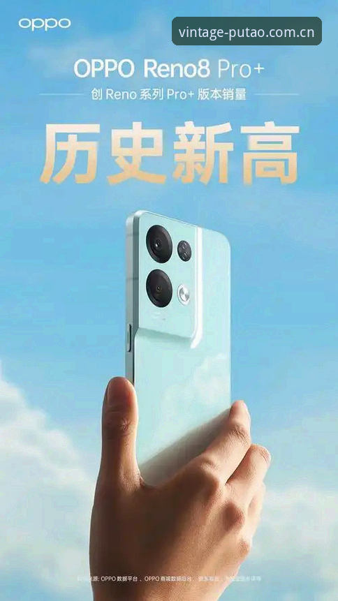 LBP官方下载 新城国际官网vs独立游戏平台:LBP官方下载渠道全面对比分析